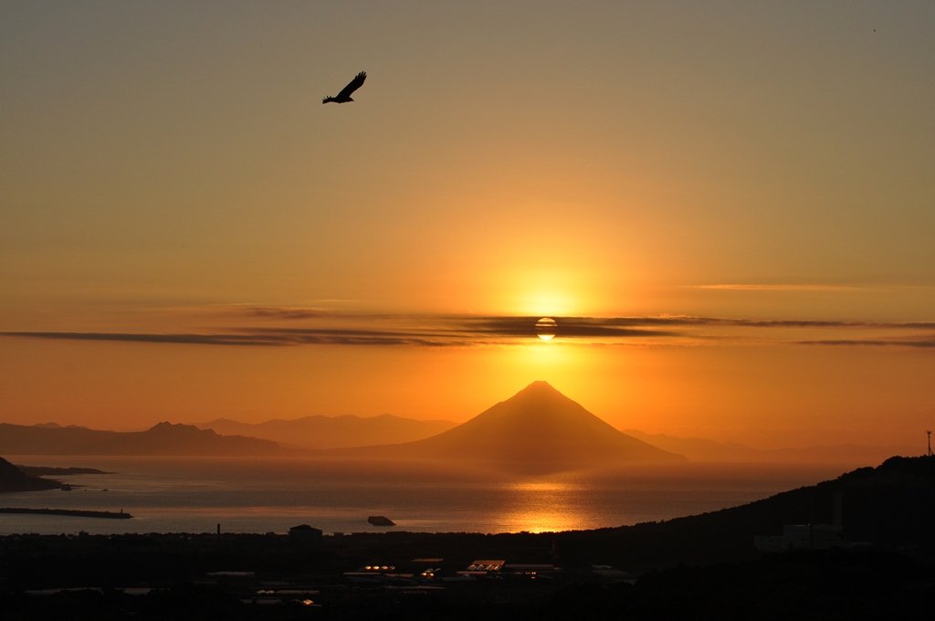 🏞️ 마루키자키 전망대(마루키자키텐보쇼) 이미지 5